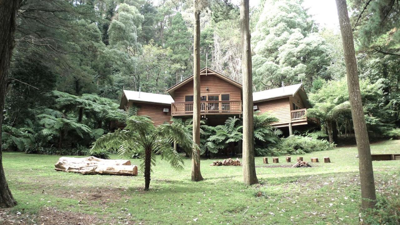 Chudleigh Park Cottages Sassafras Ngoại thất bức ảnh