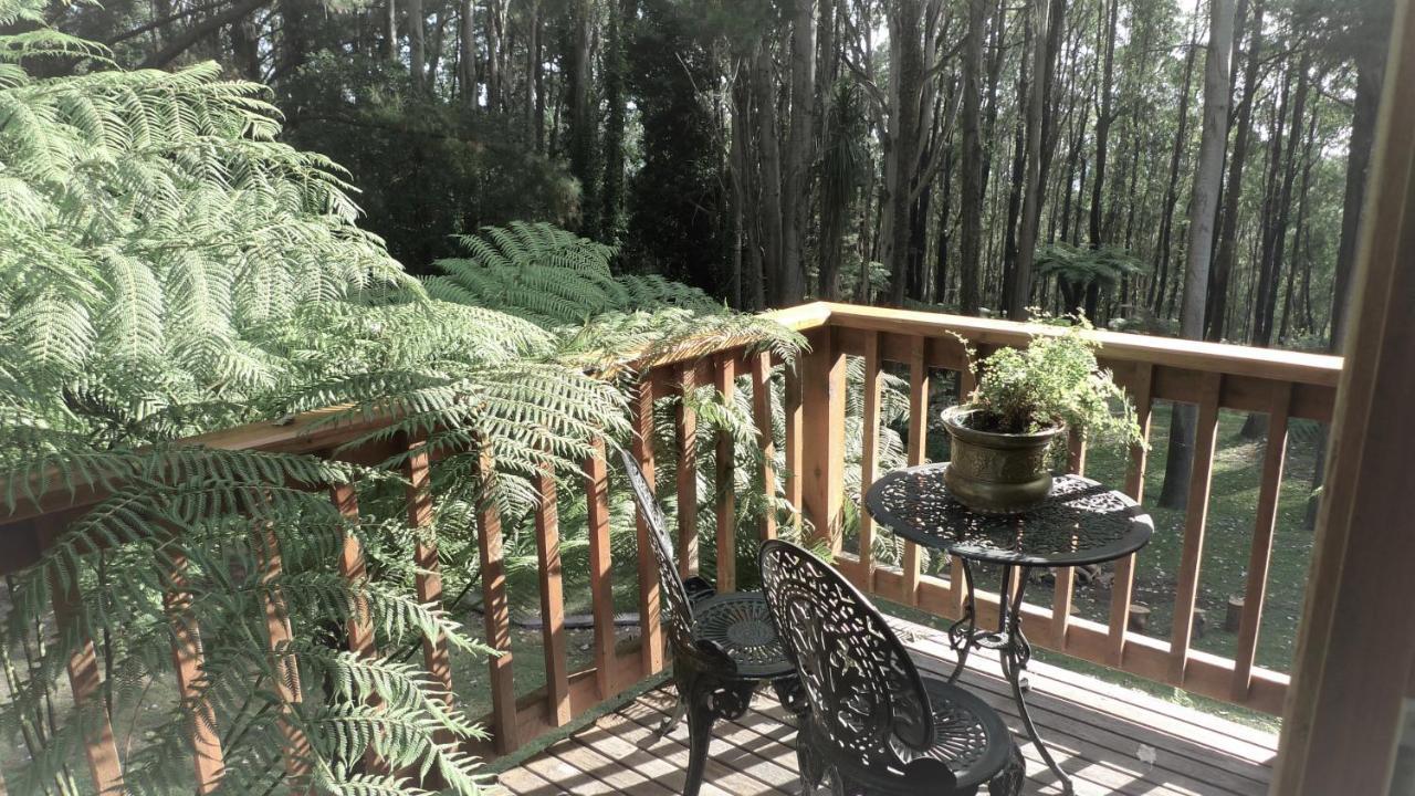 Chudleigh Park Cottages Sassafras Ngoại thất bức ảnh